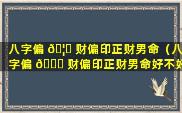 八字偏 🦅 财偏印正财男命（八字偏 🐘 财偏印正财男命好不好）